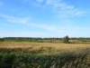 Campagna intorno a Čistyje Prudy (Tolminkiemis)